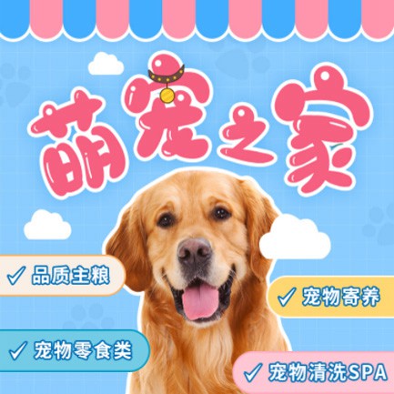 红桥萌宠之家小程序开发